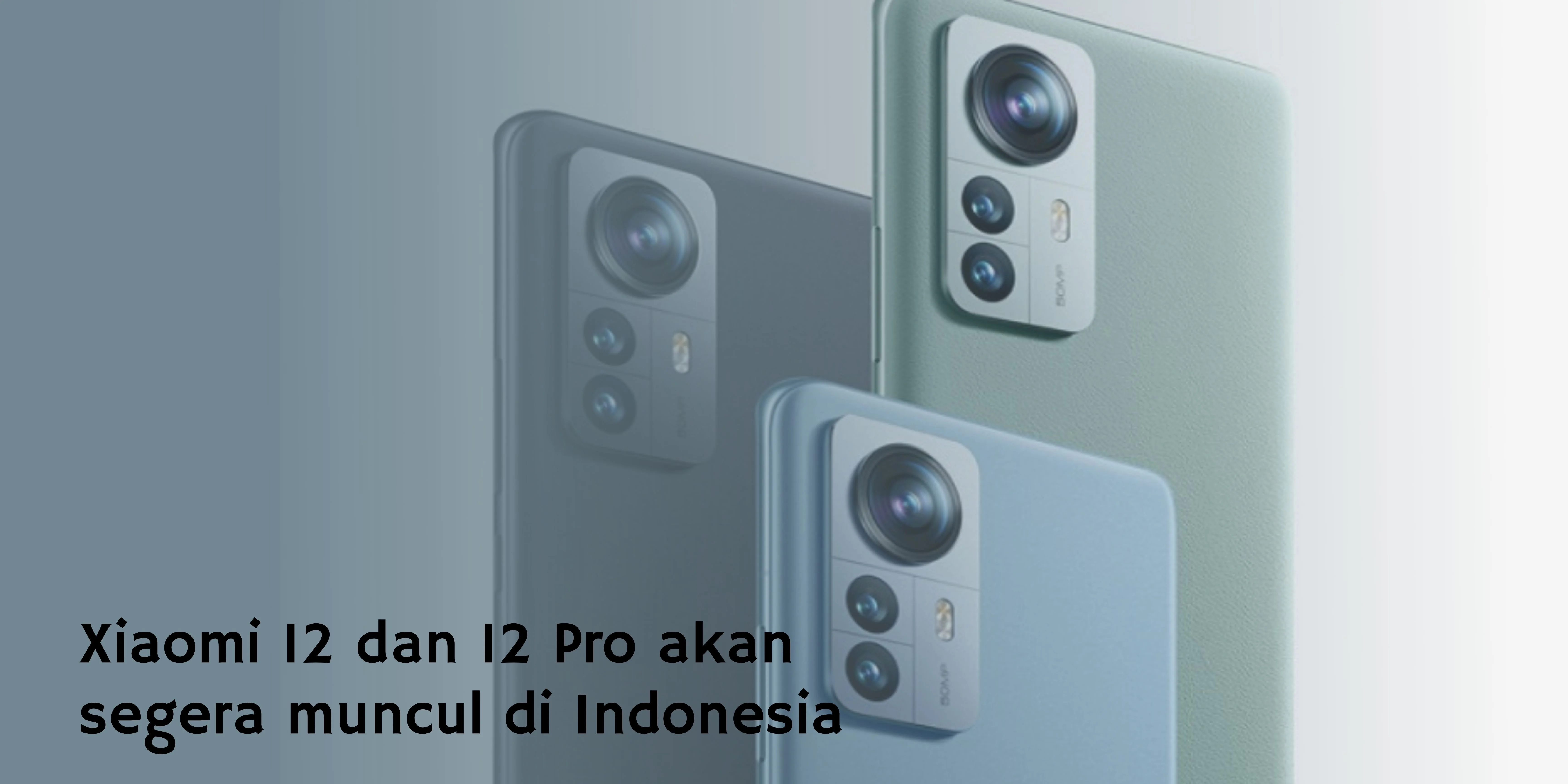 Xiaomi 12 dan 12 Pro akan segera muncul di Indonesia