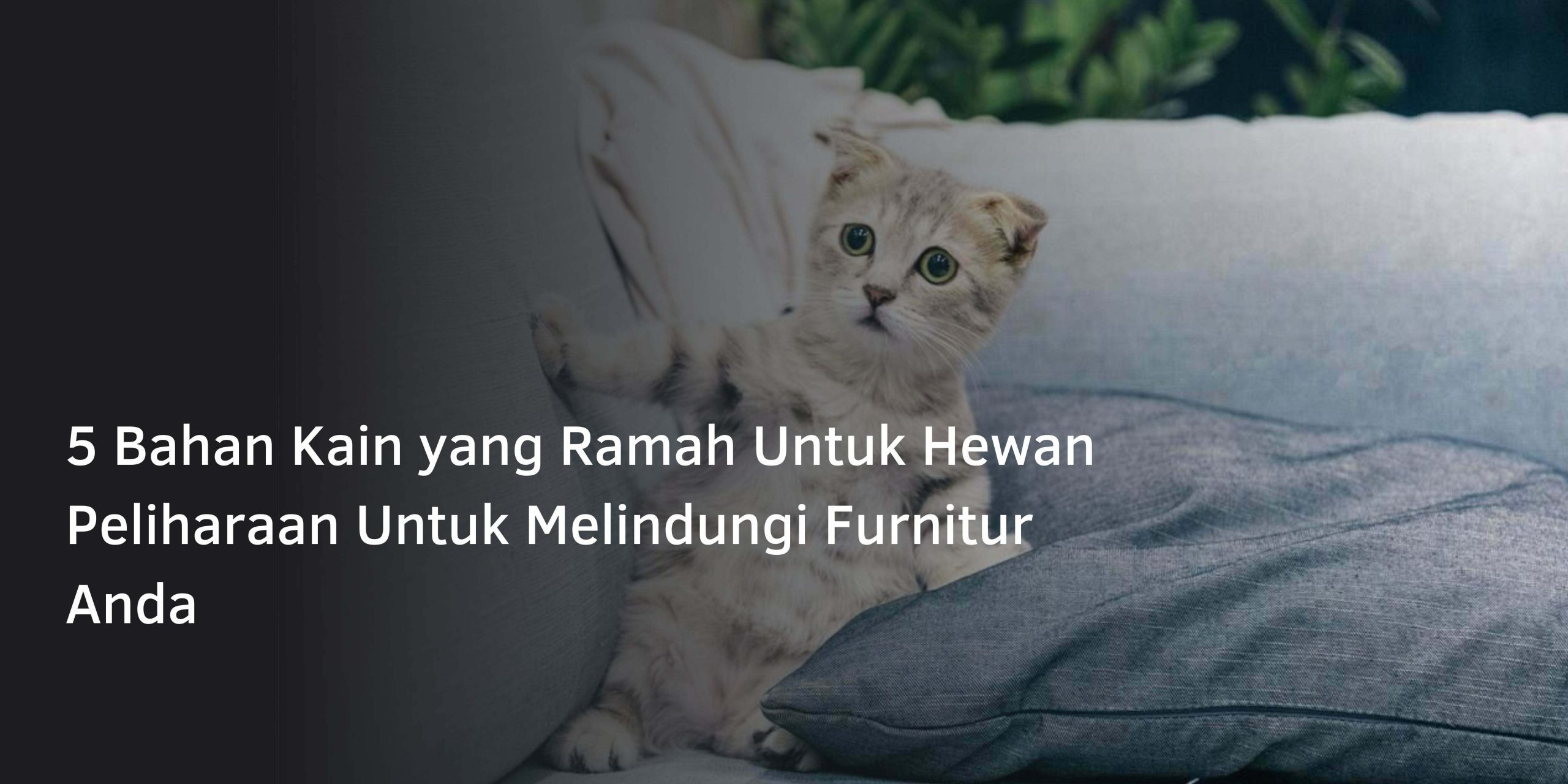 5 Bahan Kain yang Ramah Untuk Hewan Peliharaan Untuk Melindungi Furnitur Anda