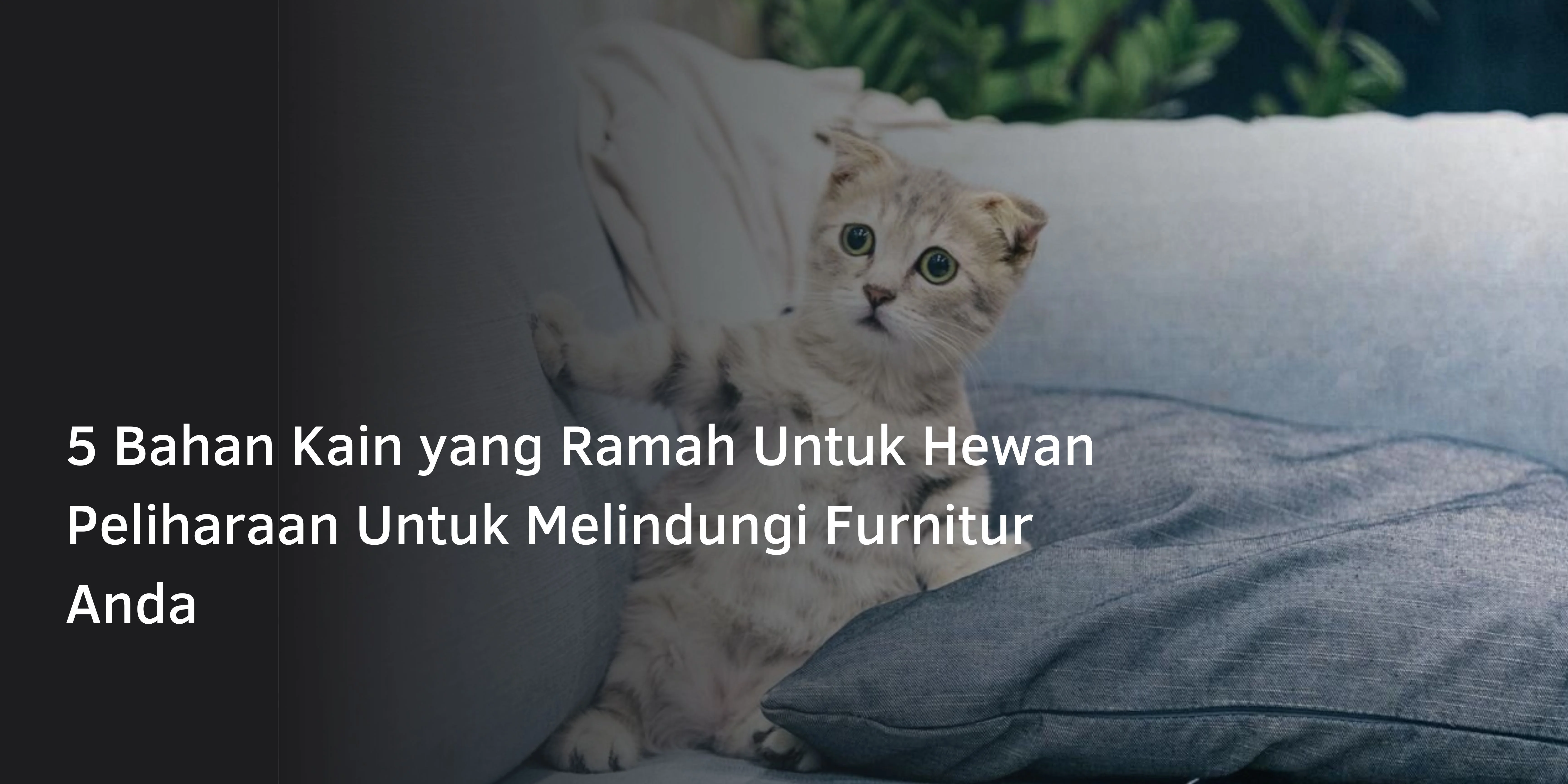 5 Bahan Kain yang Ramah Untuk Hewan Peliharaan Untuk Melindungi Furnitur Anda
