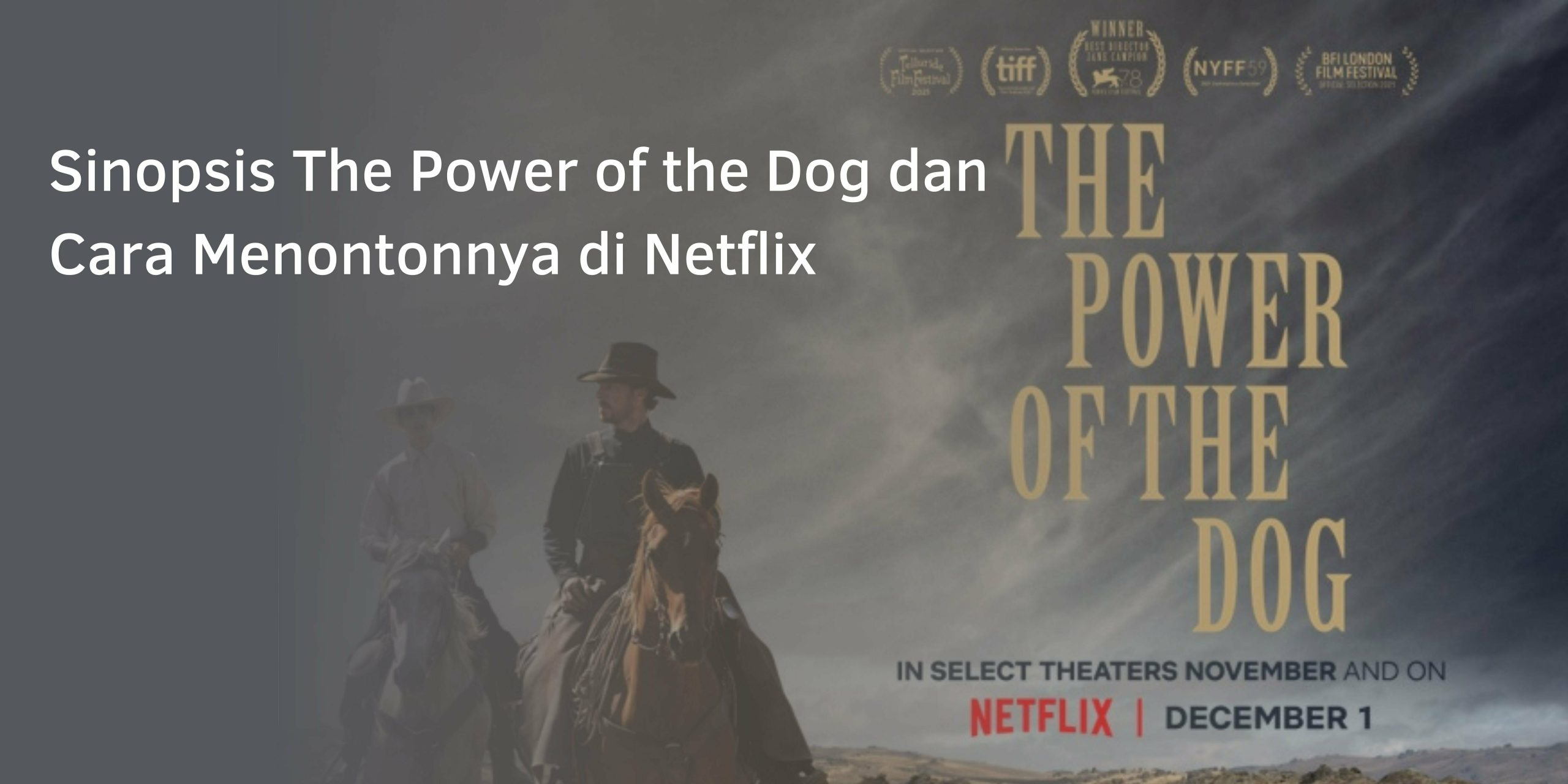 Sinopsis The Power of the Dog dan Cara Menontonnya di Netflix