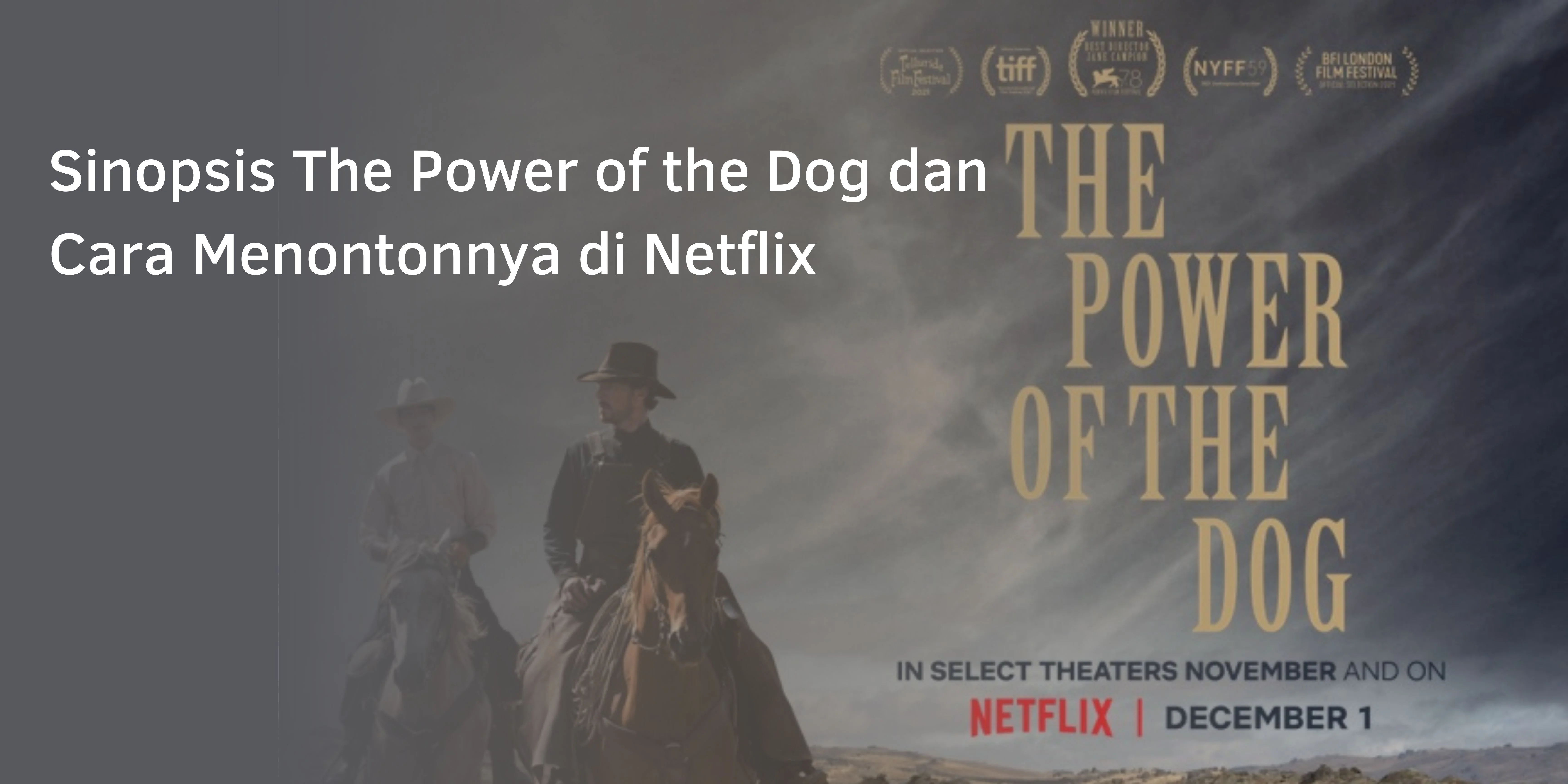Sinopsis The Power of the Dog dan Cara Menontonnya di Netflix