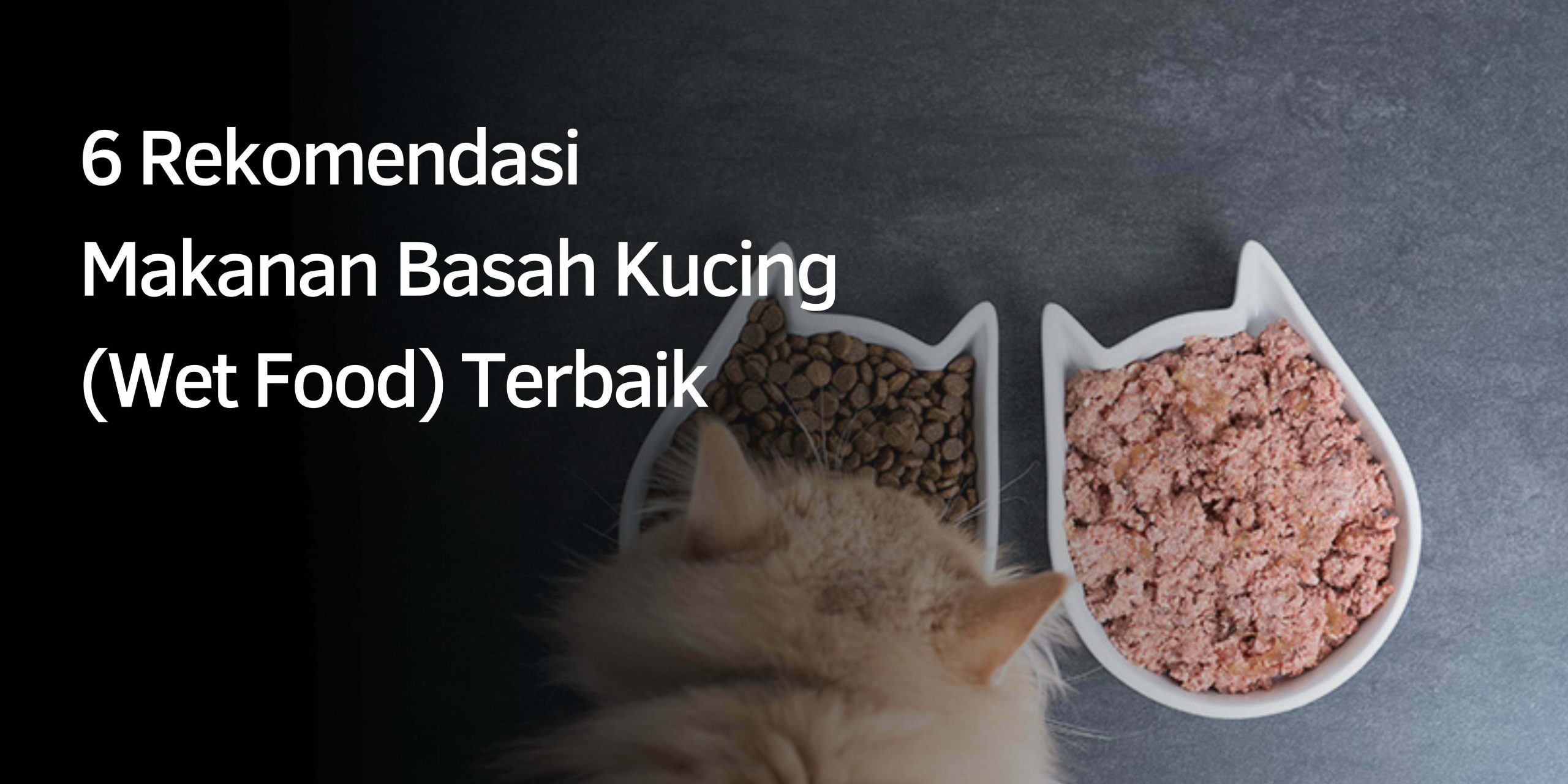 Rekomendasi Makanan Basah Kucing Terbaik Rekomendasi Makanan Basah Kucing Terbaik