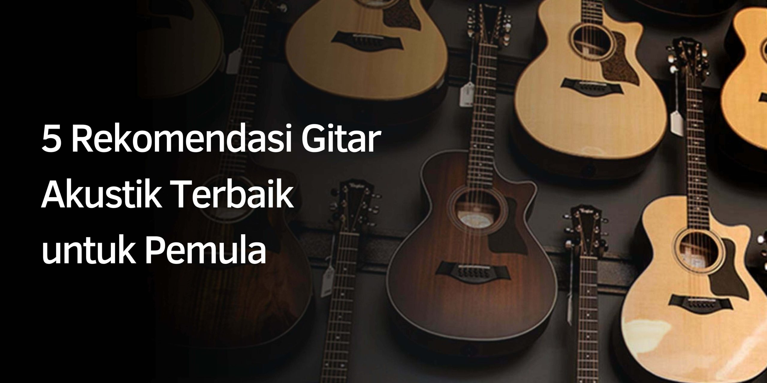 5 Rekomendasi Gitar Akustik Terbaik untuk Pemula