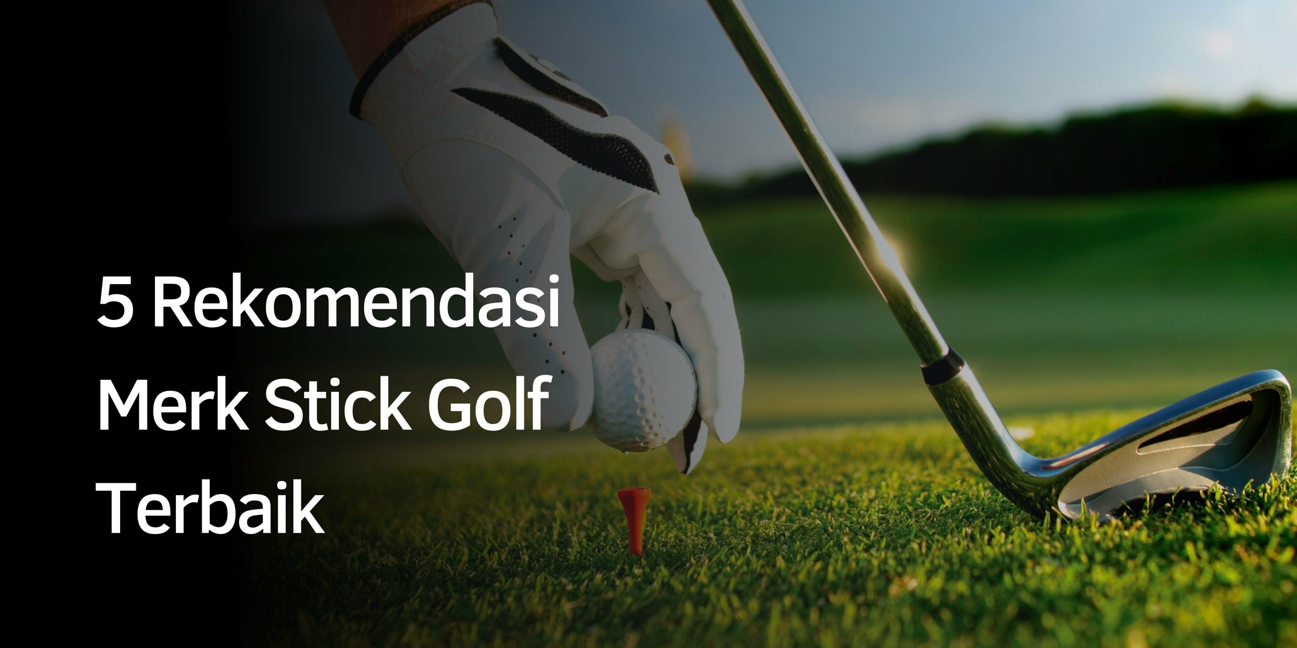 Rekomendasi Merk Stick Golf Terbaik