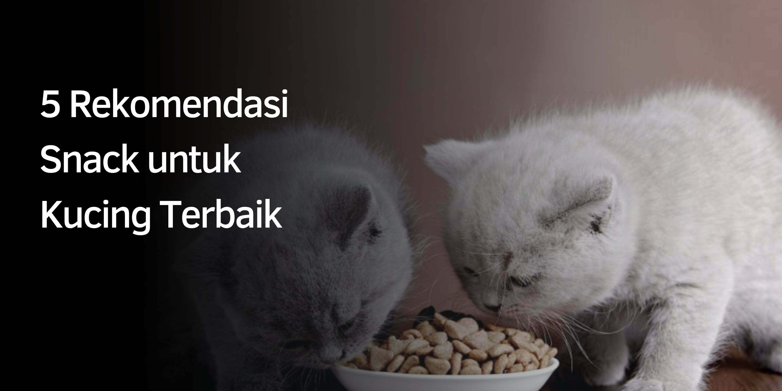 Rekomendasi Snack untuk Kucing Terbaik Rekomendasi Snack untuk Kucing Terbaik