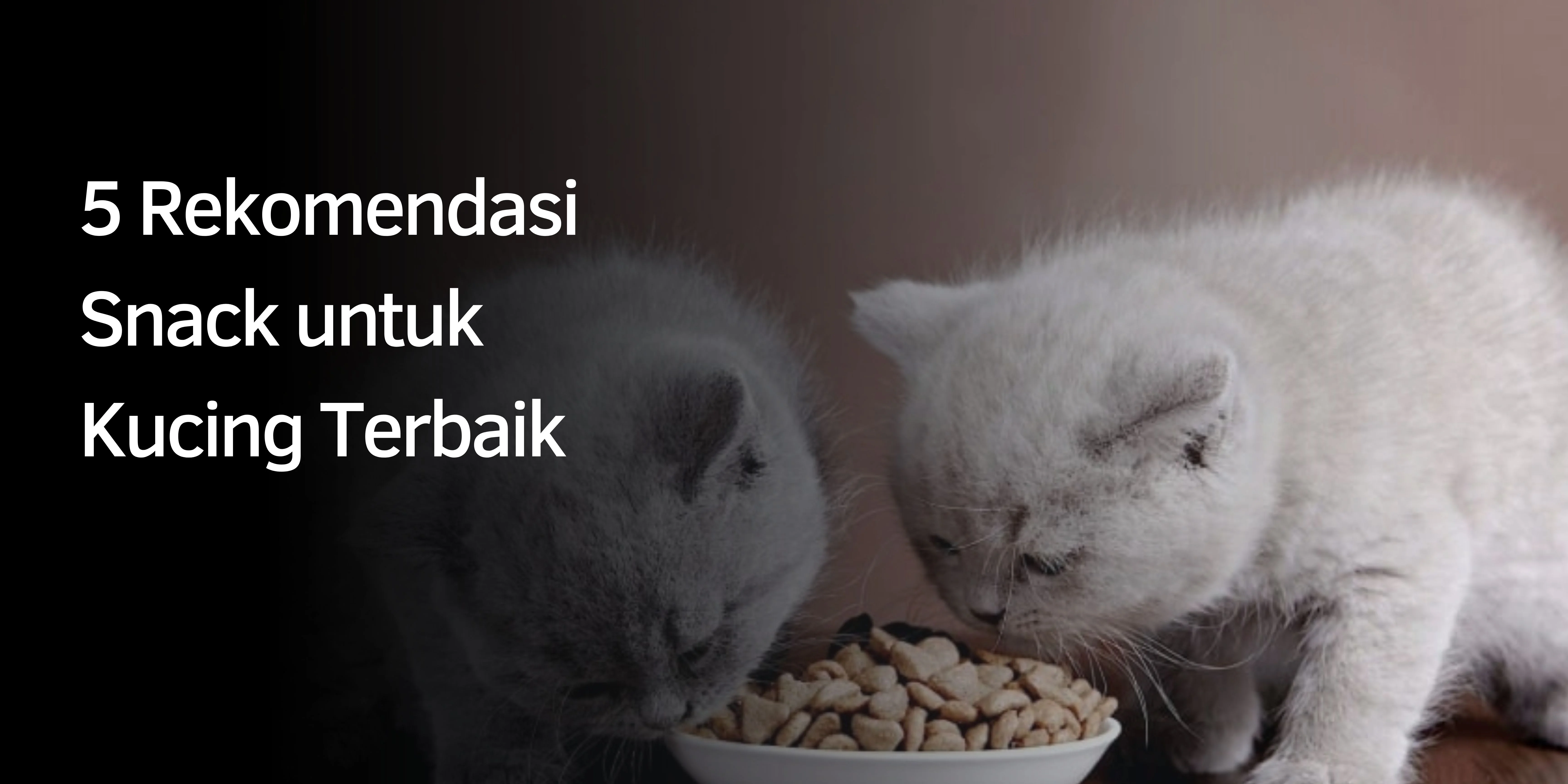 Rekomendasi Snack untuk Kucing Terbaik