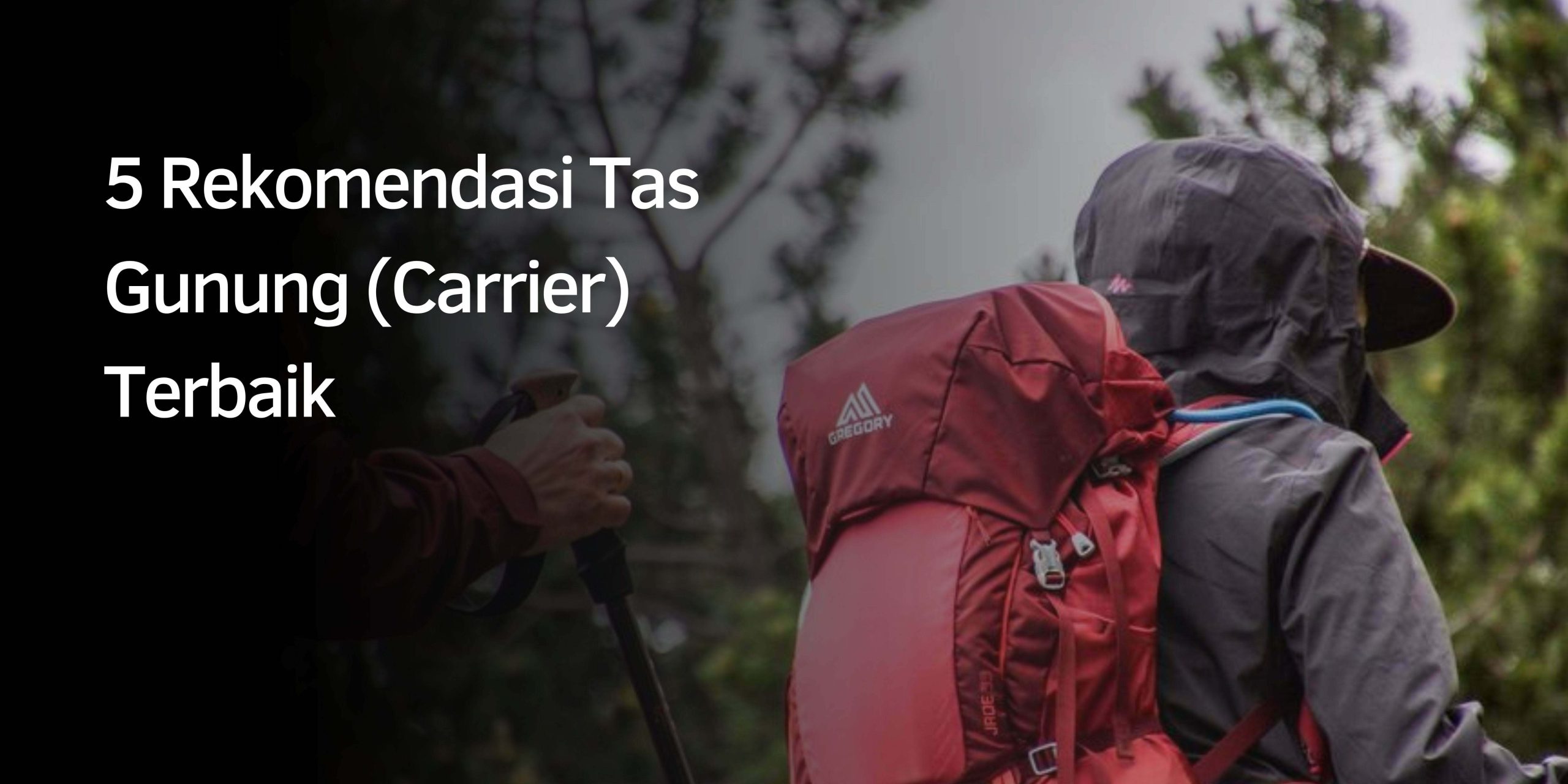Rekomendasi Tas Gunung (Carrier)