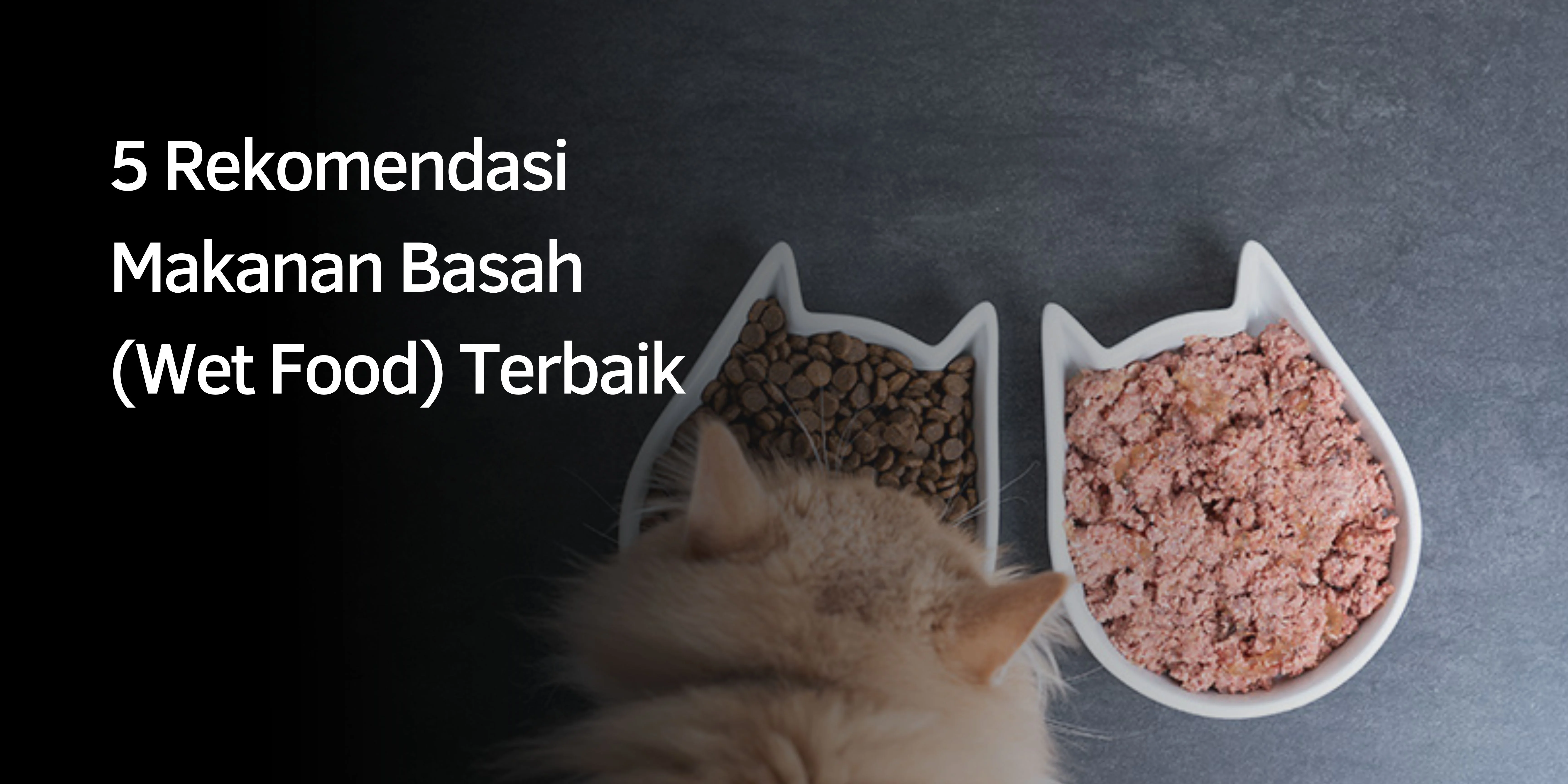 Rekomendasi Makanan Basah (Wet Food)
