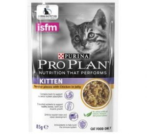 wet food untuk kucing