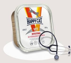 wet food untuk kucing