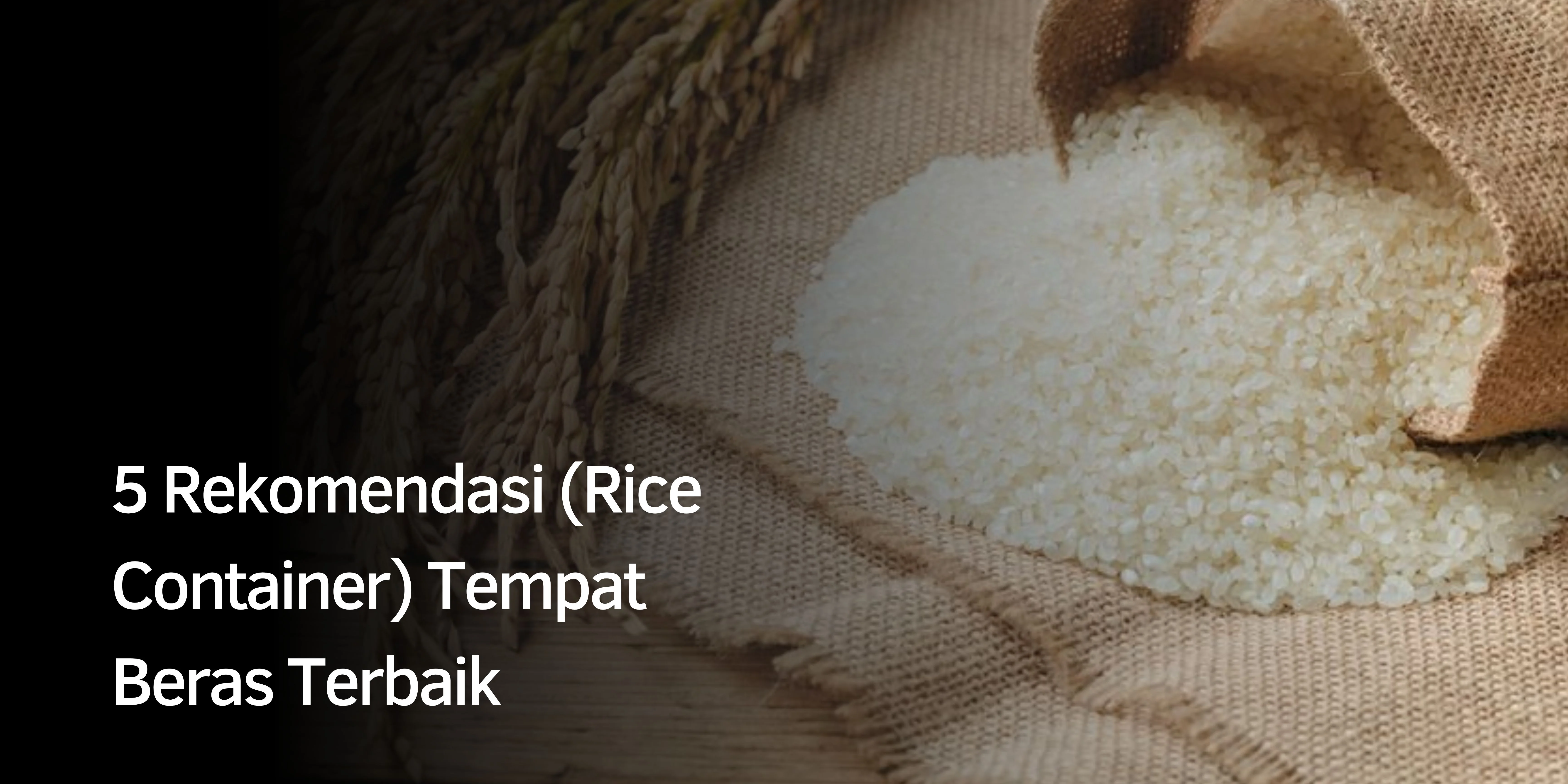 5 Rekomendasi (Rice Container) Tempat Beras Terbaik