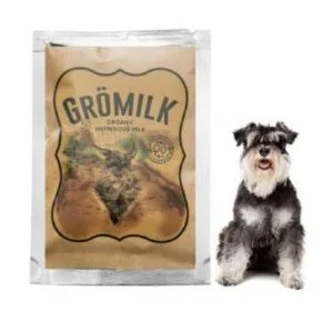 susu untuk anjing