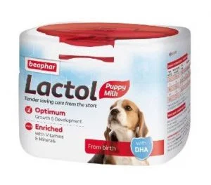 susu untuk anjing