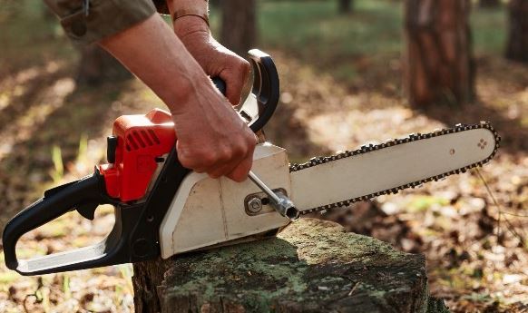 Cara Memilih Chainsaw Mini Terbaik