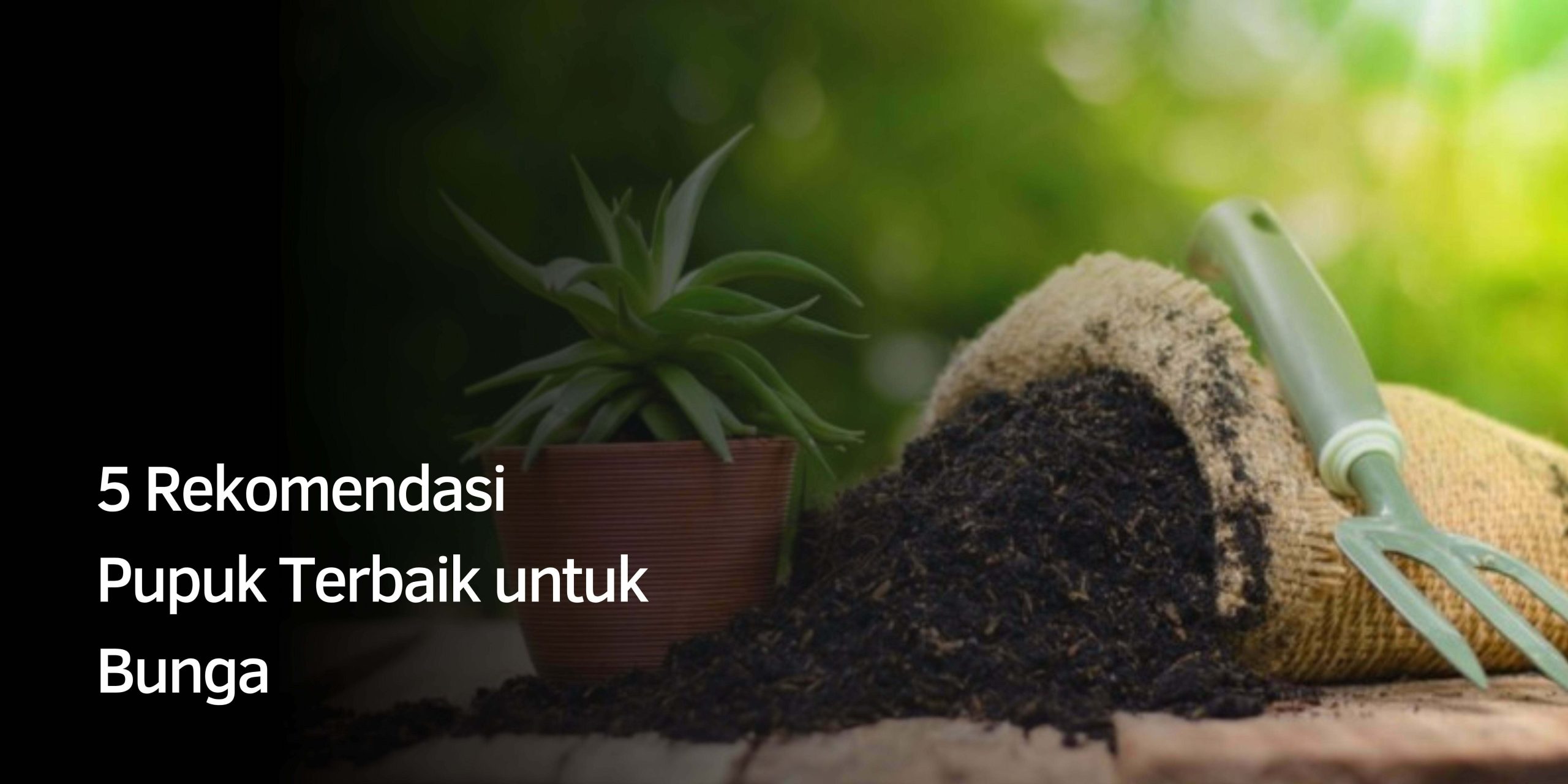 5 Rekomendasi Pupuk Terbaik untuk Bunga