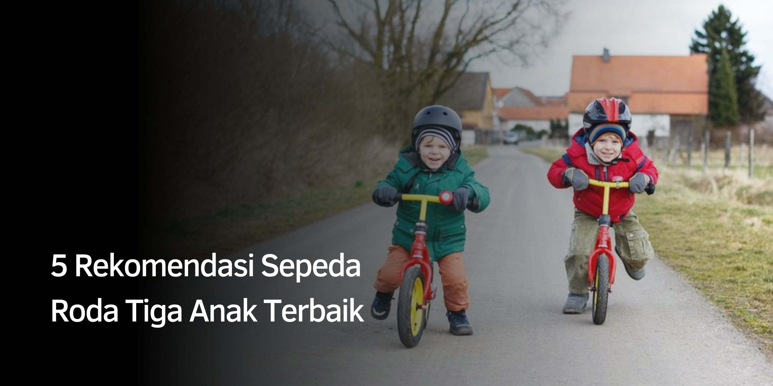 Rekomendasi Sepeda Roda Tiga Anak Terbaik