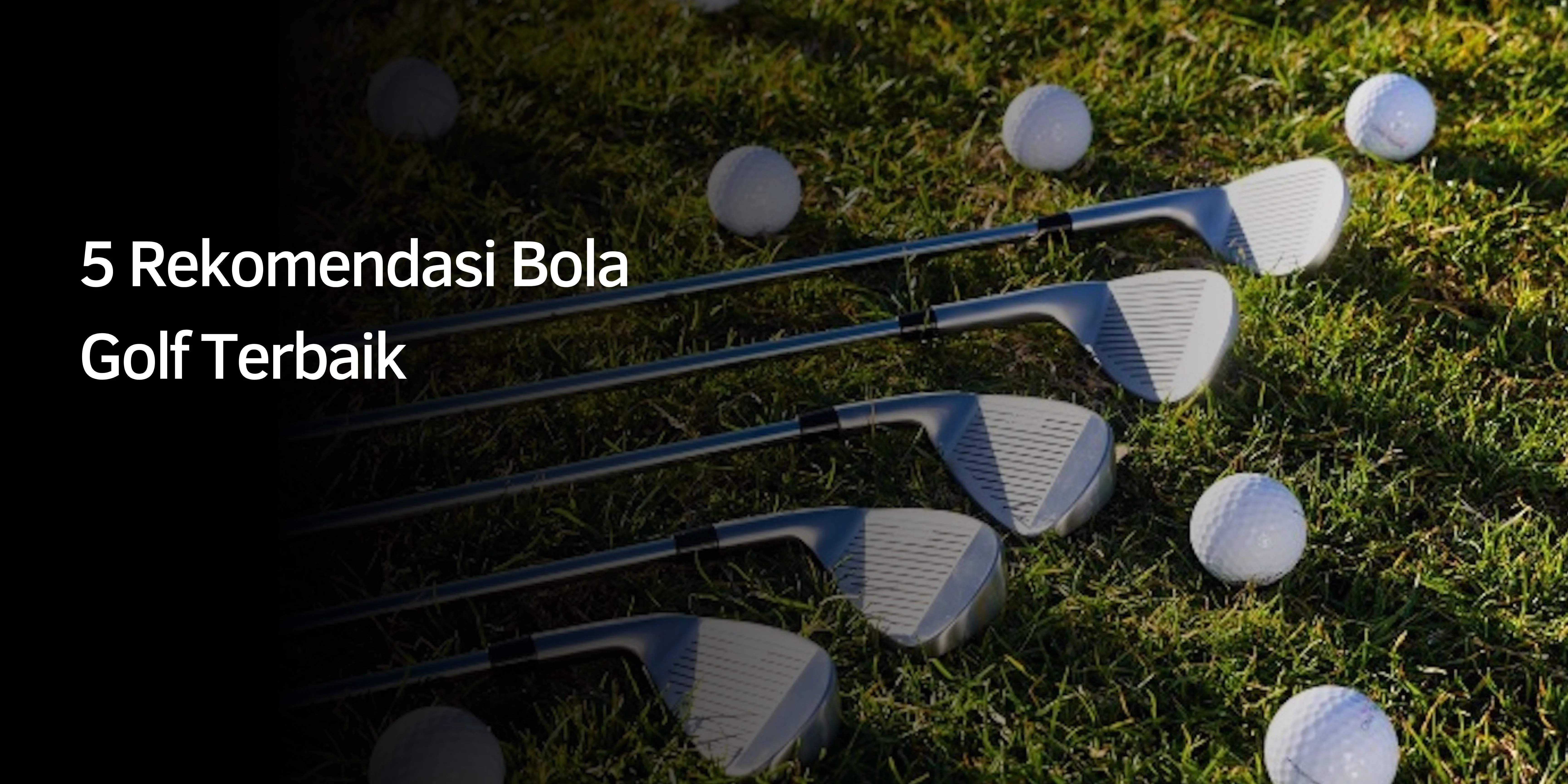 5 Rekomendasi Bola Golf Terbaik
