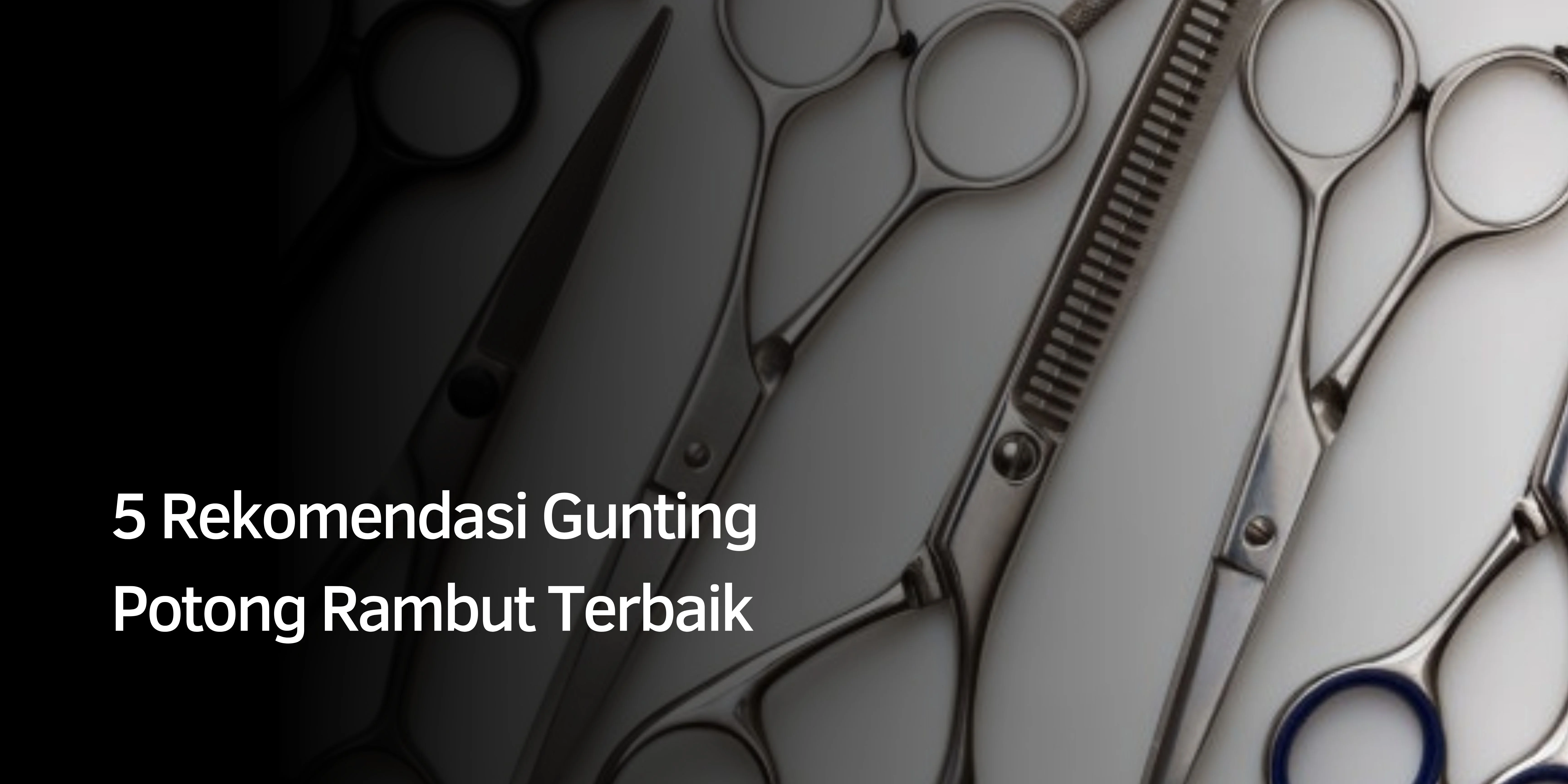 5 Rekomendasi Gunting Potong Rambut Terbaik 2 Gunting Potong Rambut Terbaik