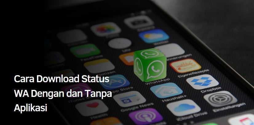 Cara Download Status WA Dengan dan Tanpa Aplikasi