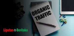organic traffic