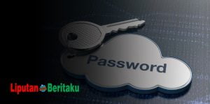 lupa password wordpress