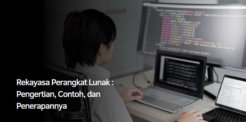 Rekayasa Perangkat Lunak : Pengertian, Contoh, dan Penerapannya