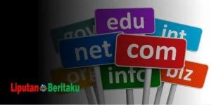 Apa Itu TLD? Pengertian TLD dan Penjelasan Lengkapnya 1 top level domain