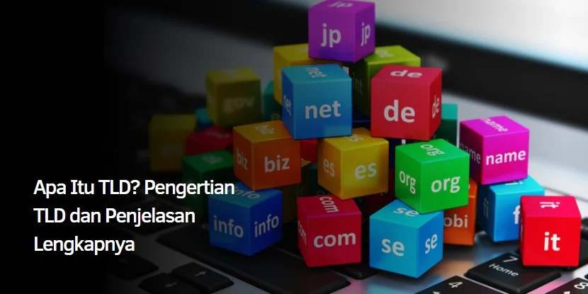 Apa Itu TLD? Pengertian TLD dan Penjelasan Lengkapnya