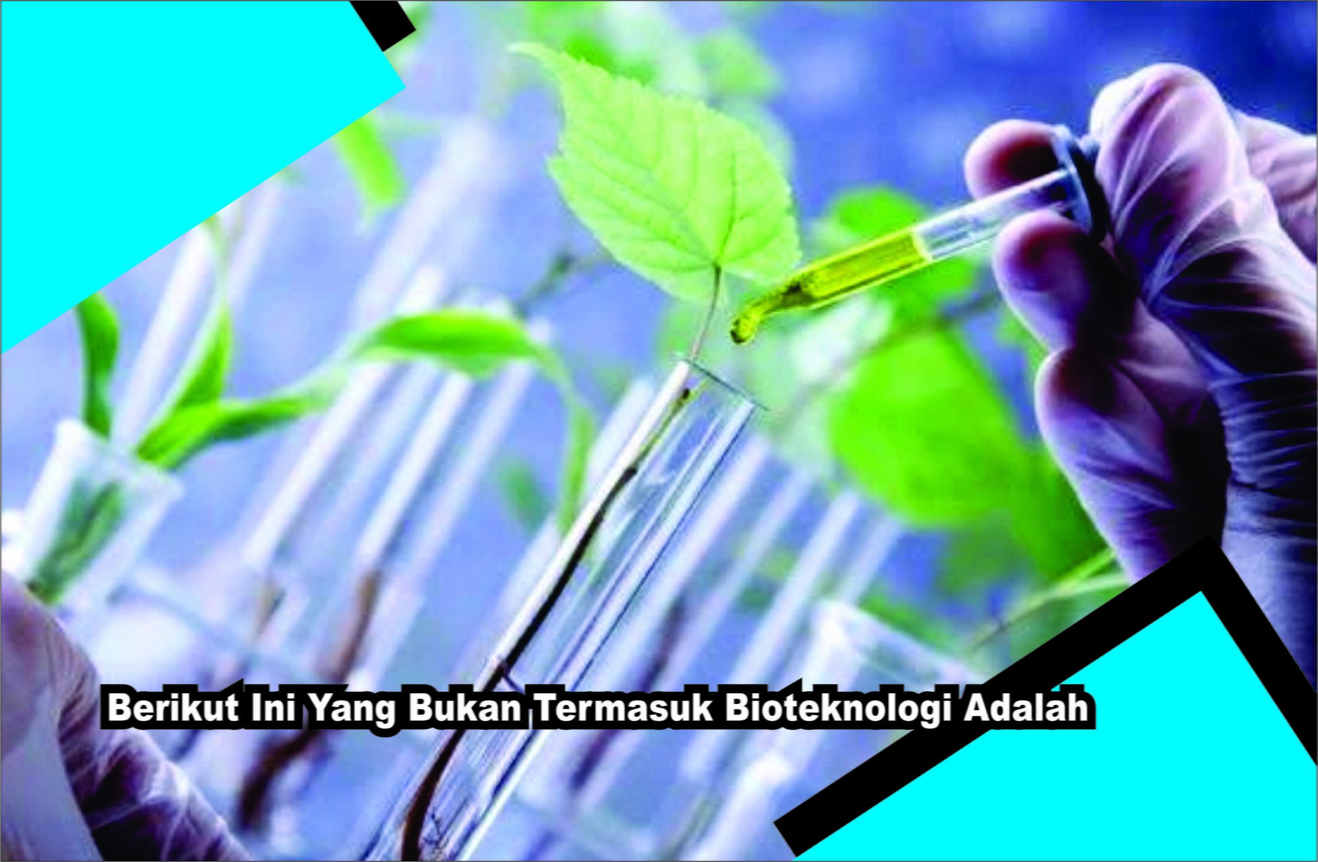 Berikut Ini Yang Bukan Termasuk Bioteknologi Adalah Berikut Ini Yang Bukan Termasuk Bioteknologi Adalah