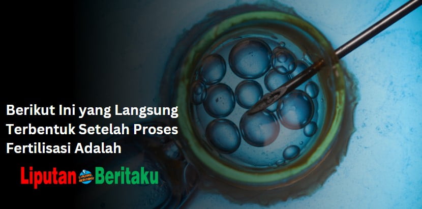 Berikut Ini yang Langsung Terbentuk Setelah Proses Fertilisasi Adalah