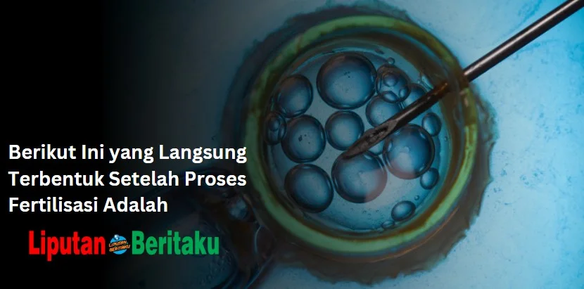 Berikut Ini yang Langsung Terbentuk Setelah Proses Fertilisasi Adalah