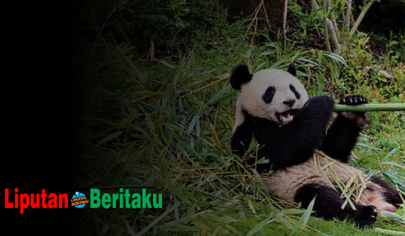 Manfaat Khusus pada Makhluk Hidup