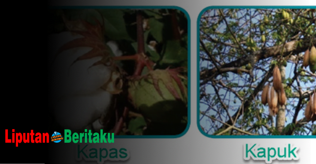 Apa saja Bahan Serat Alam Pada Produk Kerajinan