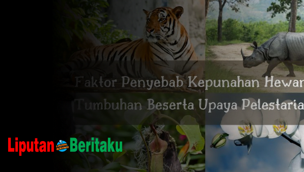 Hal Menyebabkan Terjadinya Kepunahan Hewan Hal Menyebabkan Terjadinya Kepunahan Hewan