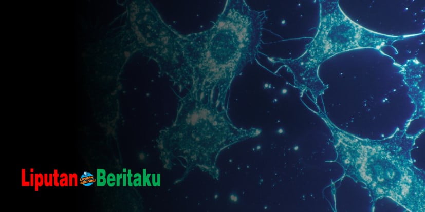 Rasio Fenotip Persilangan Dihibrid Adalah