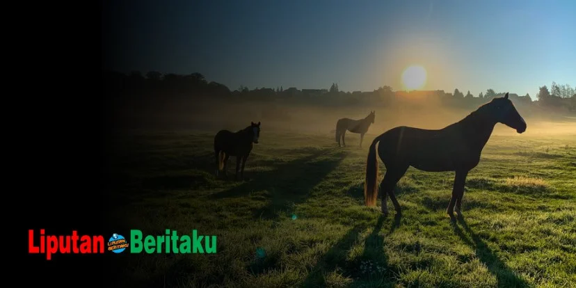Seekor Kuda Selalu Mempunyai