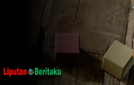 Jelaskan Yang Dimaksud Dengan