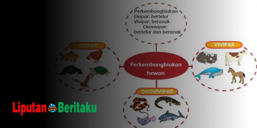 Kadal dan Ular Berkembang Biak Dengan