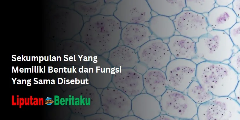 Sekumpulan Sel Yang Memiliki Bentuk dan Fungsi Yang Sama Disebut
