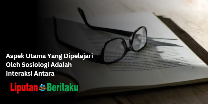 Aspek Utama Yang Dipelajari Oleh Sosiologi Adalah Interaksi Antara