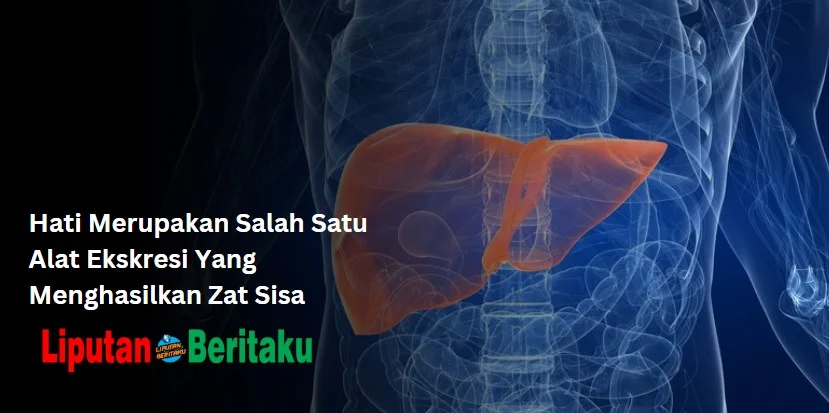 Hati Merupakan Salah Satu Alat Ekskresi Yang Menghasilkan Zat Sisa