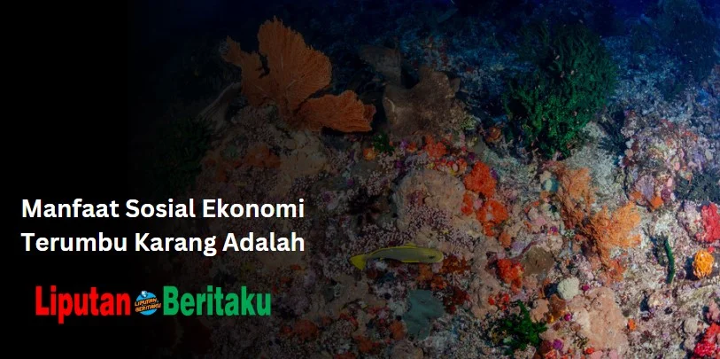 Manfaat Sosial Ekonomi Terumbu Karang Adalah