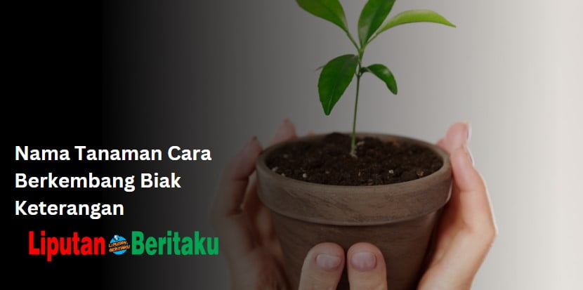 Nama Tanaman Cara Berkembang Biak Keterangan