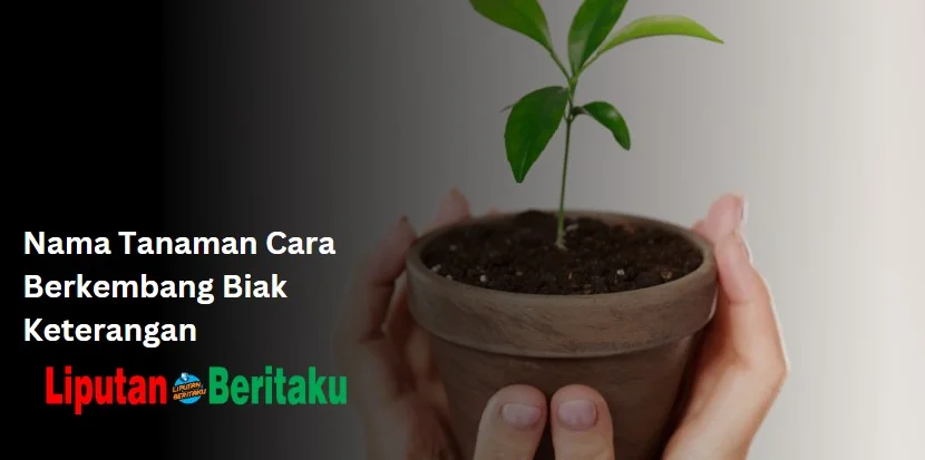 Nama Tanaman Cara Berkembang Biak Keterangan