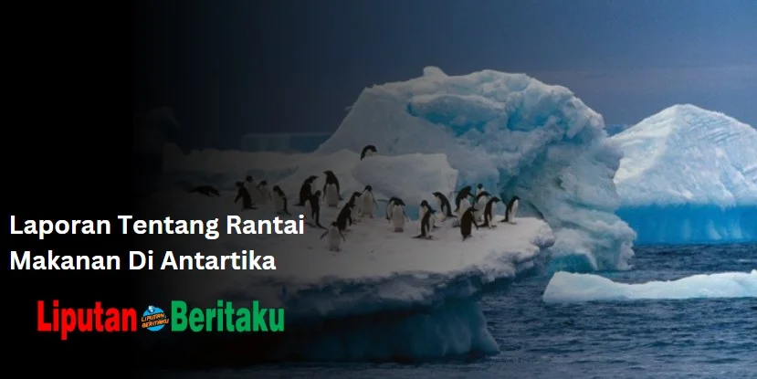 Laporan Tentang Rantai Makanan Di Antartika