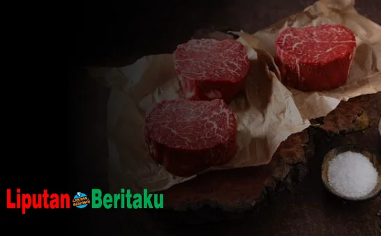 Manfaat Ikan dan Daging Produk Setengah Jadi Yaitu