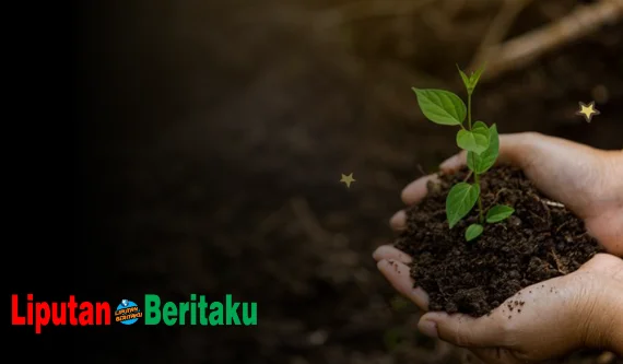 keuntungan penghijauan di kota-kota antara lain karena tanaman dapat