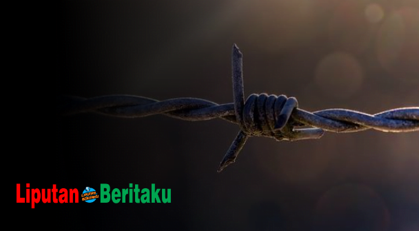 Kawat Penghantar Listrik Yang Dibungkus Karet