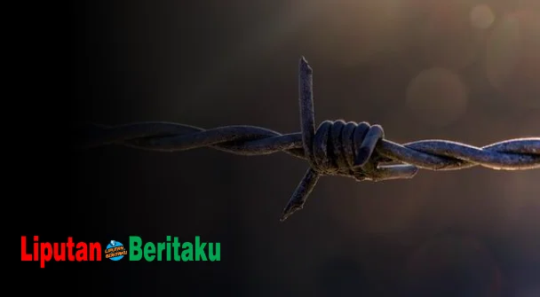 Kawat Penghantar Listrik Yang Dibungkus Karet