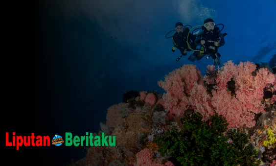 Manfaat Sosial Ekonomi Terumbu Karang